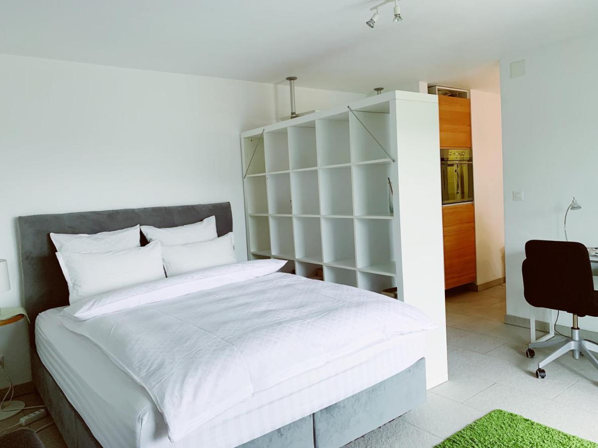 N1 Standalone House Baden Apartment Hertenstein ภายนอก รูปภาพ