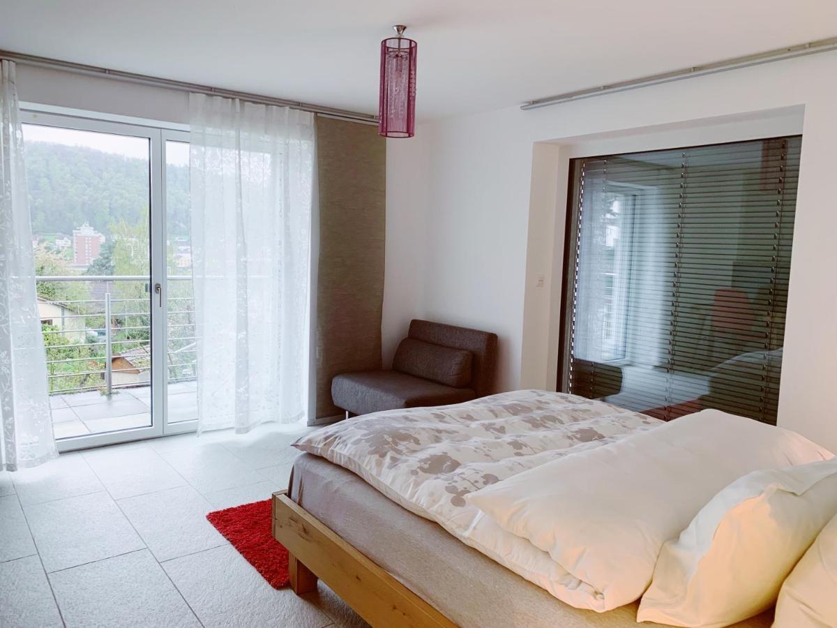 N1 Standalone House Baden Apartment Hertenstein ภายนอก รูปภาพ