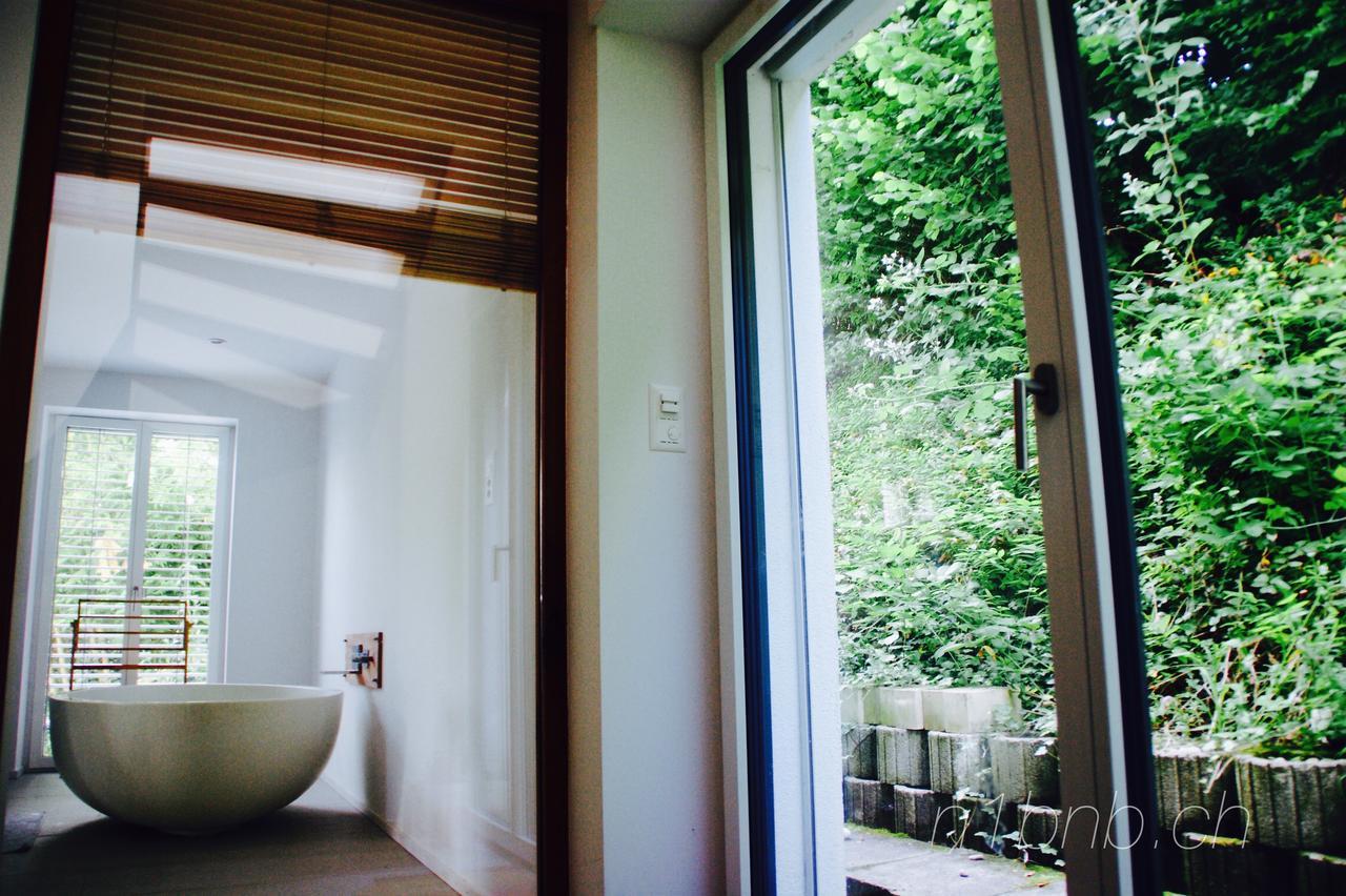 N1 Standalone House Baden Apartment Hertenstein ภายนอก รูปภาพ