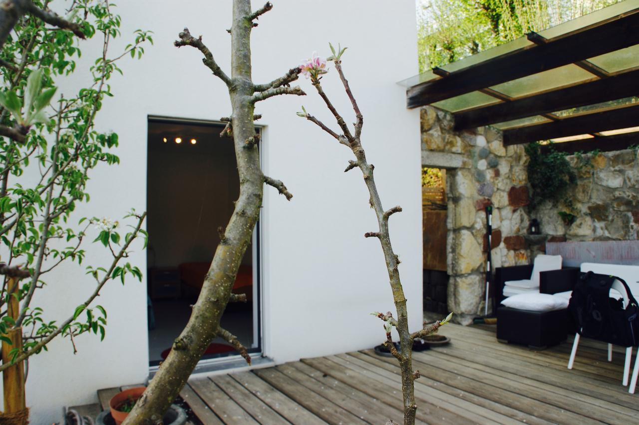 N1 Standalone House Baden Apartment Hertenstein ภายนอก รูปภาพ